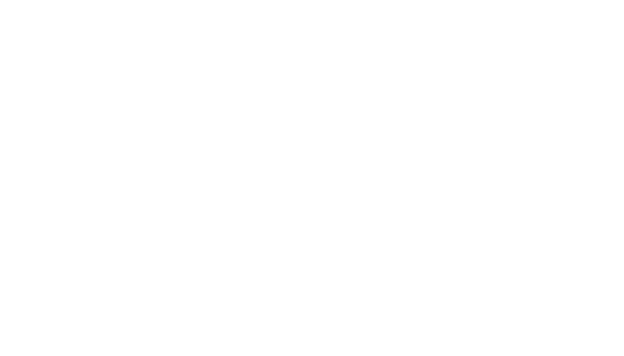 Velvet and White Logo